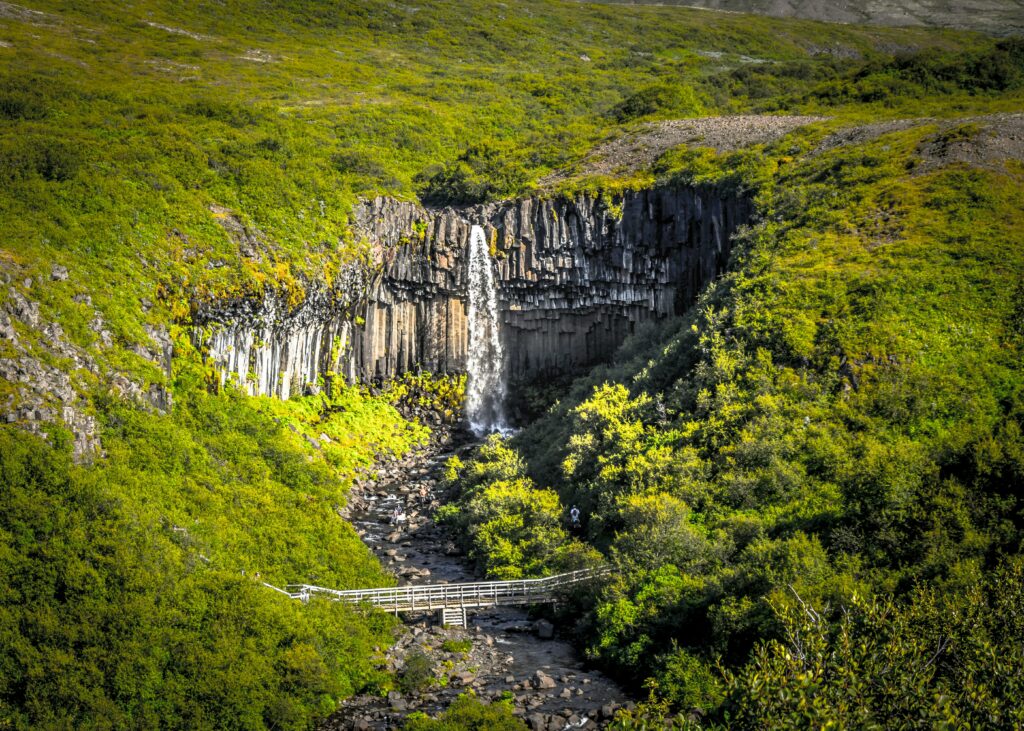 A breathtaking view of Svartifoss waterfall in Iceland, surrounded by lush summer greenery.